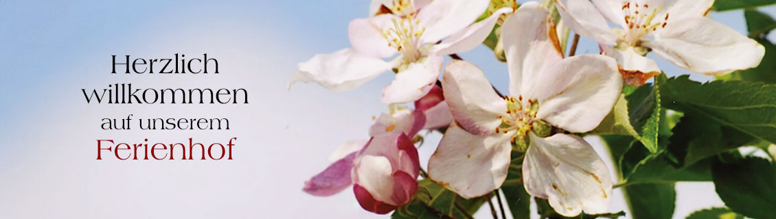 Impressionen Ferienhof Weishaupt-Steffelin