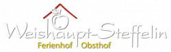 Logo Weishaupt-Steffelin
